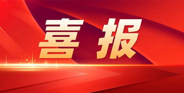 喜報(bào)！熱烈祝賀我司榮獲江蘇省“專精特新”企業(yè)稱號(hào)